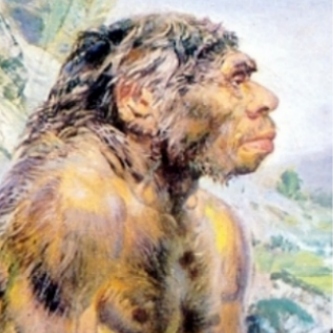 Neanderv